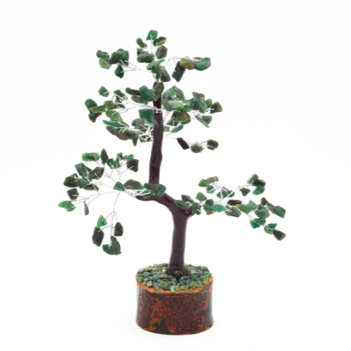 ARBRE DE VIE <strong>JADE</strong> (Petite taille) Qualité EXTRA