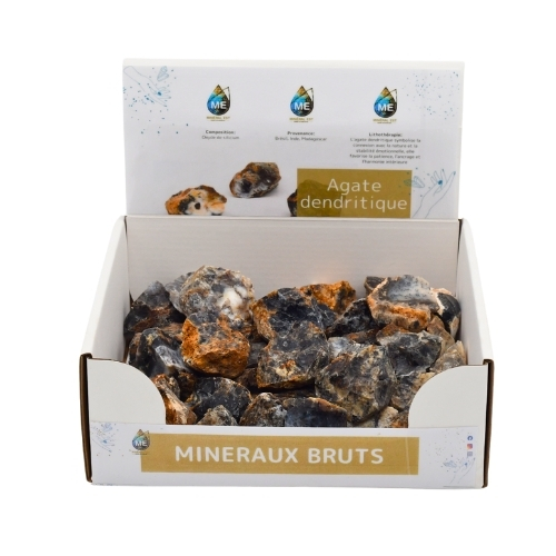 BOITE PRÉSENTOIR AGATE DENDRITIQUE 3à5CM (x35pcs) Qualité A