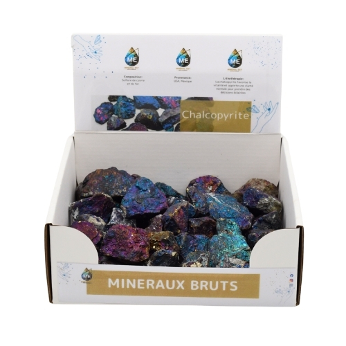 BOITE PRÉSENTOIR CHALCOPYRITE 5à7CM (x25pcs) Qualité SUPER EXTRA