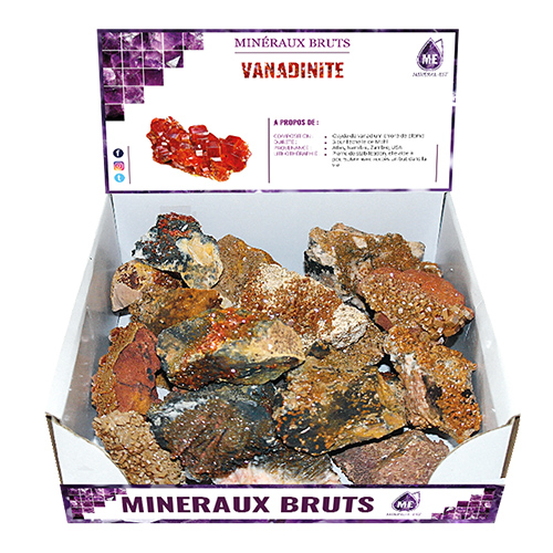 BOITE PRÉSENTOIR VANADINITE 5à7CM (x25pcs) Qualité EXTRA