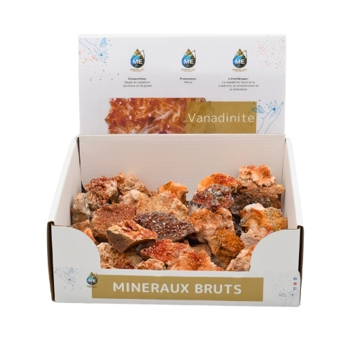BOITE PRÉSENTOIR VANADINITE 5à7CM (x25pcs) Qualité EXTRA