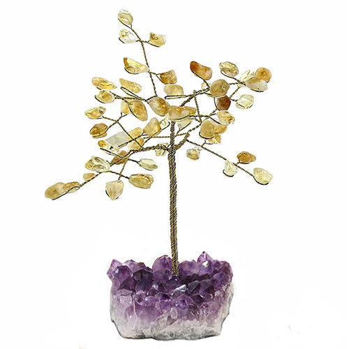BONSAÏ LAITON CITRINE (Petite taille) Qualité EXTRA 