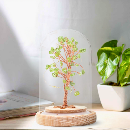 BONSAI LUMINEUX PÉRIDOT SOUS CLOCHE - QUALITÉ EXTRA