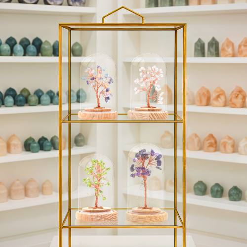 BONSAI LUMINEUX PÉRIDOT SOUS CLOCHE - QUALITÉ EXTRA