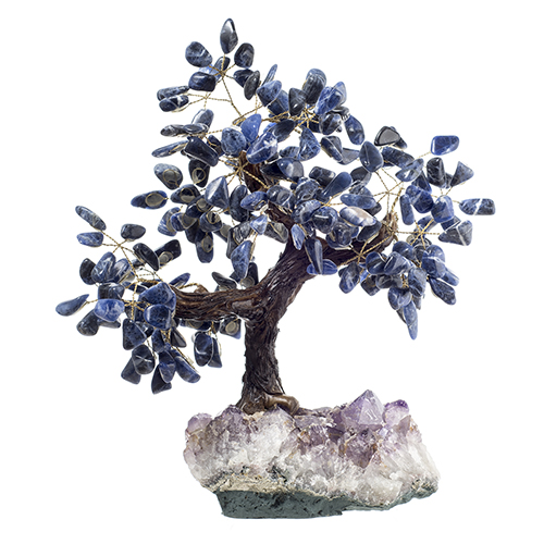 BONSAÏS SODALITE (Très grande taille) Qualité EXTRA