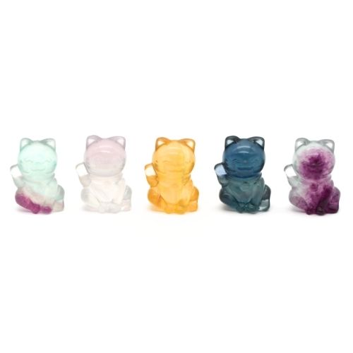 CHAT EN FLUORINE - QUALITÉ A