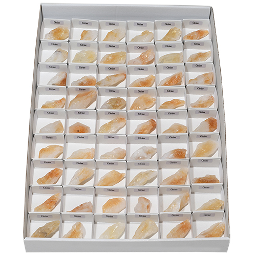 BOITE ÉCOLIÈRE CITRINE (x54pcs)