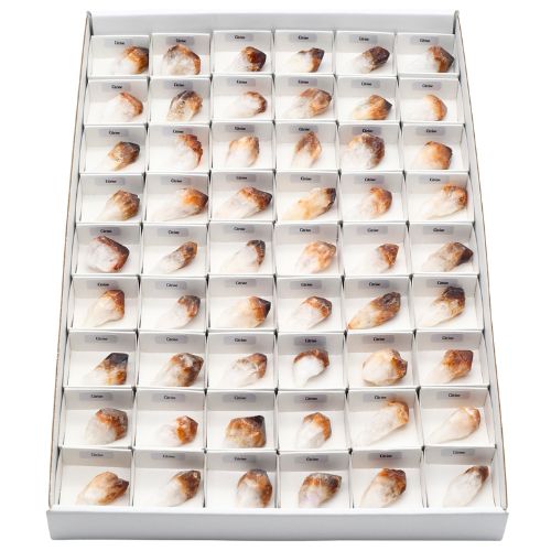 BOITE ÉCOLIÈRE POINTES DE CITRINE QUALITÉ EXTRA (54pcs)