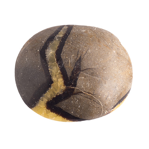 GALET SEPTARIA