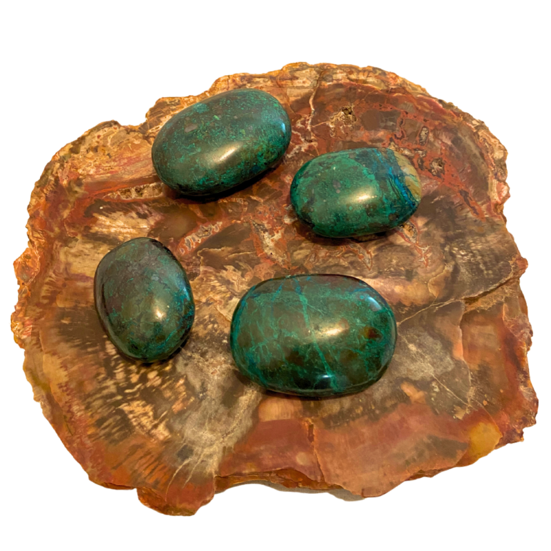GALETS CHRYSOCOLLE (x4pcs)