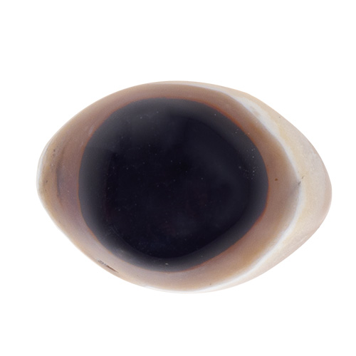 OEIL DE SHIVA EN AGATE (Sachet de 10 pièces) QUALITÉ EXTRA