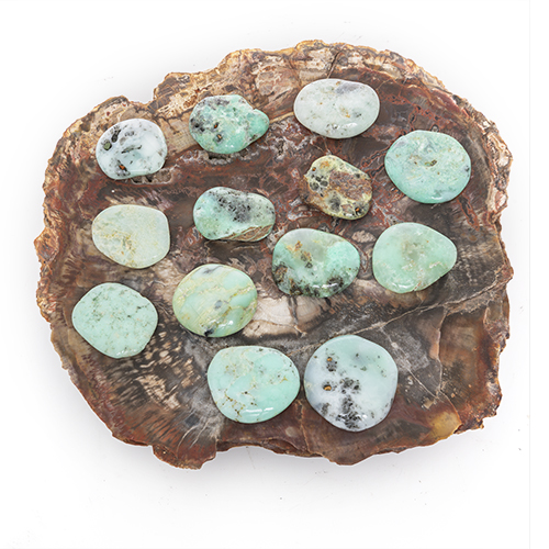 GALET CHRYSOPRASE Qualité EXTRA