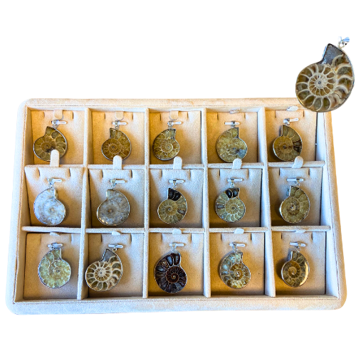 PRÉSENTOIR PENDENTIFS <strong>AMMONITES</strong> 15 casiers