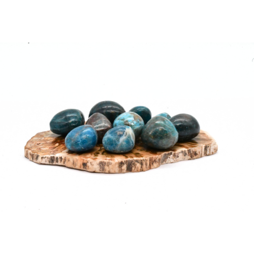 PIERRES ROULÉES APATITE BLEUE - QUALITÉ EXTRA (x 200 Gr)