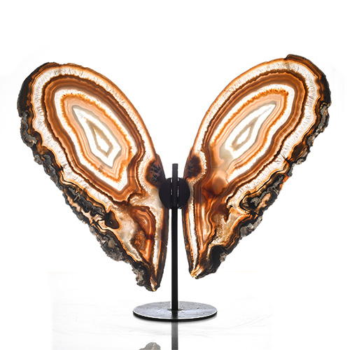 AILES DE PAPILLON EN AGATE NATURELLE 5