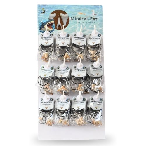 PRÉSENTOIR MURAL PENDENTIFS DENT DE REQUIN (x72pcs)