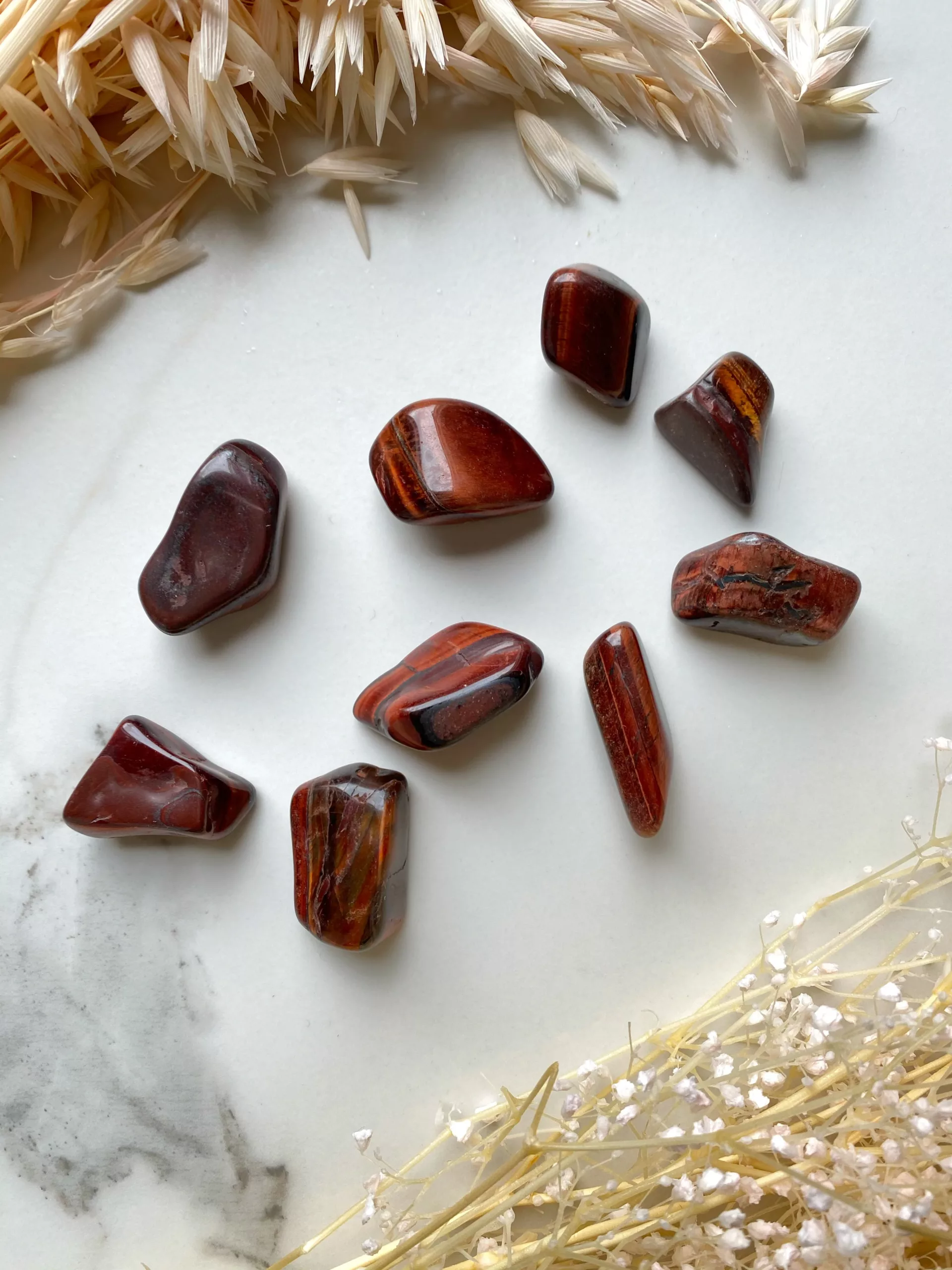 L’histoire de l’Œil de Taureau